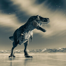 Tyrannosaurus Rex Is Walking Around On Ice Age