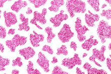 Pink Glam Animals Skin Texture Background