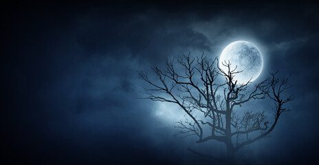 Wall Mural - spooky night image . mixed media