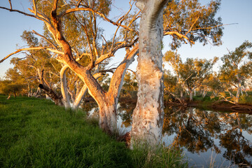 Wall Mural - Dusk at Caroline River lagoon