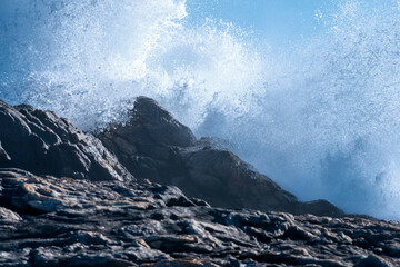 Wall Mural - breaking surf wave