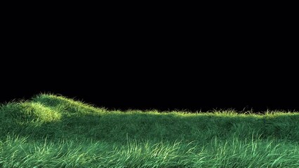 Wall Mural - grass wind strong seamless loop with alpha channel. element footage place on footage or background a