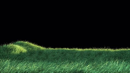 Wall Mural - grass wind slow seamless loop with alpha channel. element footage place on footage or background and