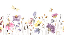 Wildflowers, Plants, Flying Butterfly, Dragonfly, Floral Seamless Pattern With Colored Flowers, Watercolor Horizontal Border Isolated On White Background, Hand Painting Illustration Summer Meadow. 