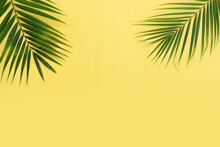 Image Of Tropical Green Palm Over Yellow Pastel Background