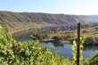little town in the river bend of the Moselle river with the vineyards on the hills on the other side of the river