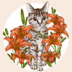 Wall Mural - Vector illustration of a striped cat in orange lily bushes