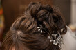 Bride's hairstyle and hair accessories set for the wedding