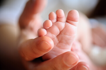 close-up detail of mother holding cute and soft baby small leg in her hands. macro abstract view of 