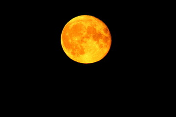 large yellow moon taken at a close approximation during the period of the full moon and the maximum 