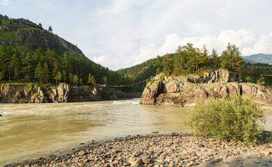 Beautiful sunny summer landscape on place where Chemal River flows into Katun River - two fast mountains rivers with rocky banks coniferous forest covered, Altai mountains, Russia