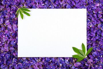 Wall Mural - white sheet of paper in purple lupin colors, copy space