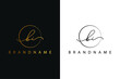B I BI hand drawn logo of initial signature, fashion, jewelry, photography, boutique, script, wedding, floral and botanical creative vector logo template for any company or business.