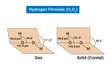structures of hydrogen peroxide (H2O2) in the solid and gaseous states