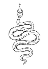 Poster - Vector outline snake. Magic symbol. Serpent art in trendy style. Wicca moon goddess symbol. Vector illustration. Tattoo, astrology, alchemy, boho and magic symbol. Coloring book.