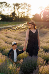 Wall Mural - Little boy walking with his mother on a lavender field