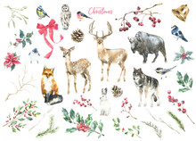Merry Christmas Watercolor Animal Illustration Set. Deer, Fawn, Stag, Buffalo, Wolf, Fox, Birds, Bunny, Christmas Tree, Spruse,pine, Winter Forest Flora For Greeting Cards, Postcard, Invitation, Flyer
