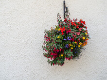 Hanging Basket Of Assorted Colorful Flowers On White Wall.