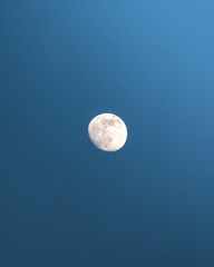 moon in the sky