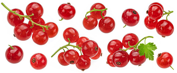 Red currant isolated on white background