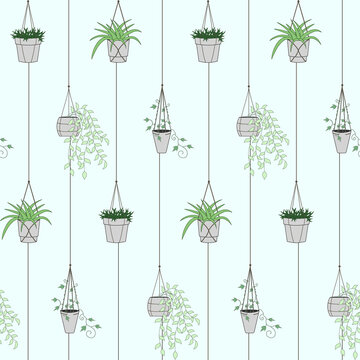 Hanging potted house plants seamless pattern. Flat vector illustration