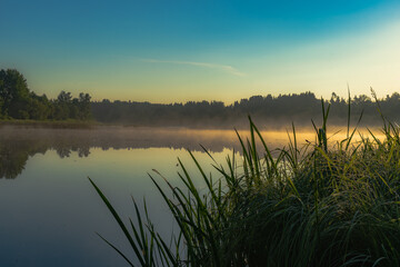 Wall Mural - morning view on the river in the morning sun with mist over the river in the summer