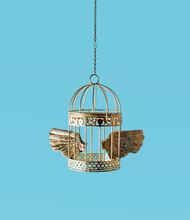 Gilded Bird Cage And Spread Wings, Creative Concept, Pastel Blue Background.