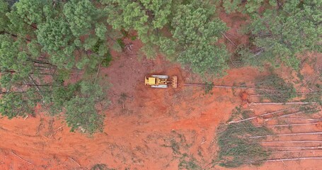 Poster - Deforestation and preparation of land for construction using a dozer to uprooting of trees an aerial top view