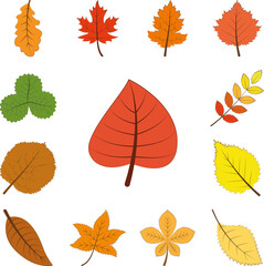 Poster - autumn red color leaf icon in a collection with other items