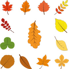 Poster - autumn yellow color leaf icon in a collection with other items