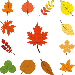 Poster - autumn red color leaf icon in a collection with other items