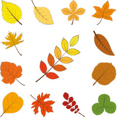 Poster - autumn multi color leaf icon in a collection with other items