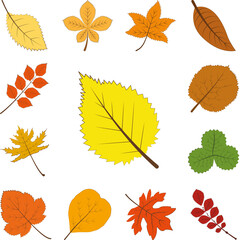 Poster - autumn yellow color leaf icon in a collection with other items