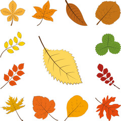 Poster - autumn yellow color leaf icon in a collection with other items