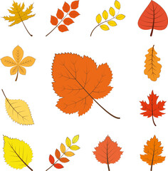 Poster - autumn orange color leaf icon in a collection with other items