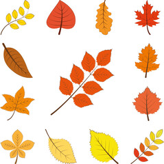 Poster - autumn orange color leaf icon in a collection with other items
