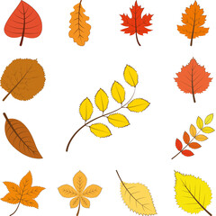Poster - autumn yellow color leaf icon in a collection with other items