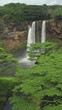 AERIAL: Flying towards a spectacular waterfall in the middle of an untouched rainforest in the heart of Kauai island. Cinematic drone point of view of a breathtaking waterfall in lush green Hawaii.