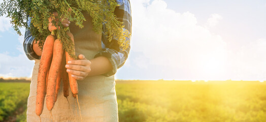 Wall Mural - Female farmer with carrot in field