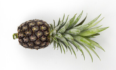 Poster - A green single pineapple isolated on white background used in fruit concepts design