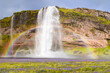 Iceland Blooming Icelandic Purple Lupin Flower Field - Amazing Seljalandsfoss waterfall in Iceland