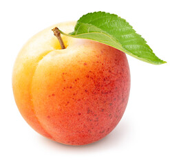 Wall Mural - yellow apricot fruit with leaf isolated on white background, apricots isolated on white with work pa