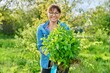 © Valerii Honcharuk - Beautiful middle aged woman with rooted phlox paniculata plant looking at camera
