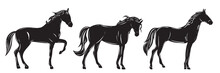 Horse Silhouette On White Background Isolated