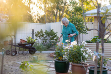 Elderly Lady Tending Her Garden With Sun Flare