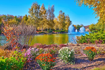 Poster - Chrysanthemums on the lake in autumn park