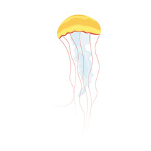 Yellow Jellyfish Icon