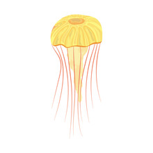 Cartoon Yellow Jellyfish Design