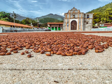 View Of The Town Country Drying Cocoa Beans