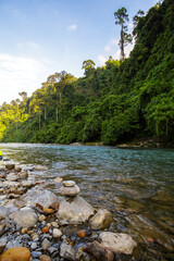 Wall Mural - Bohorok river in Bukit Lawang Gunung Leuser Nationalpark Sumatra Indonesia